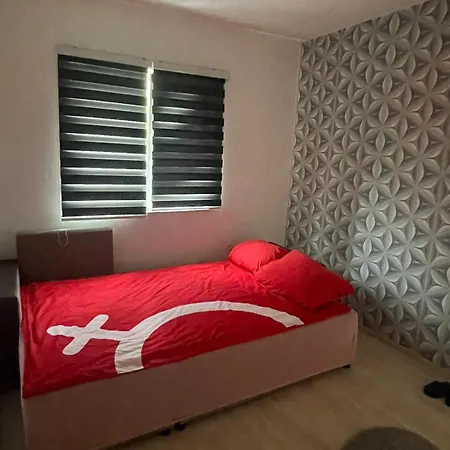 Vila City Villa *