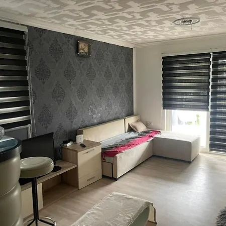 Vila City Villa *